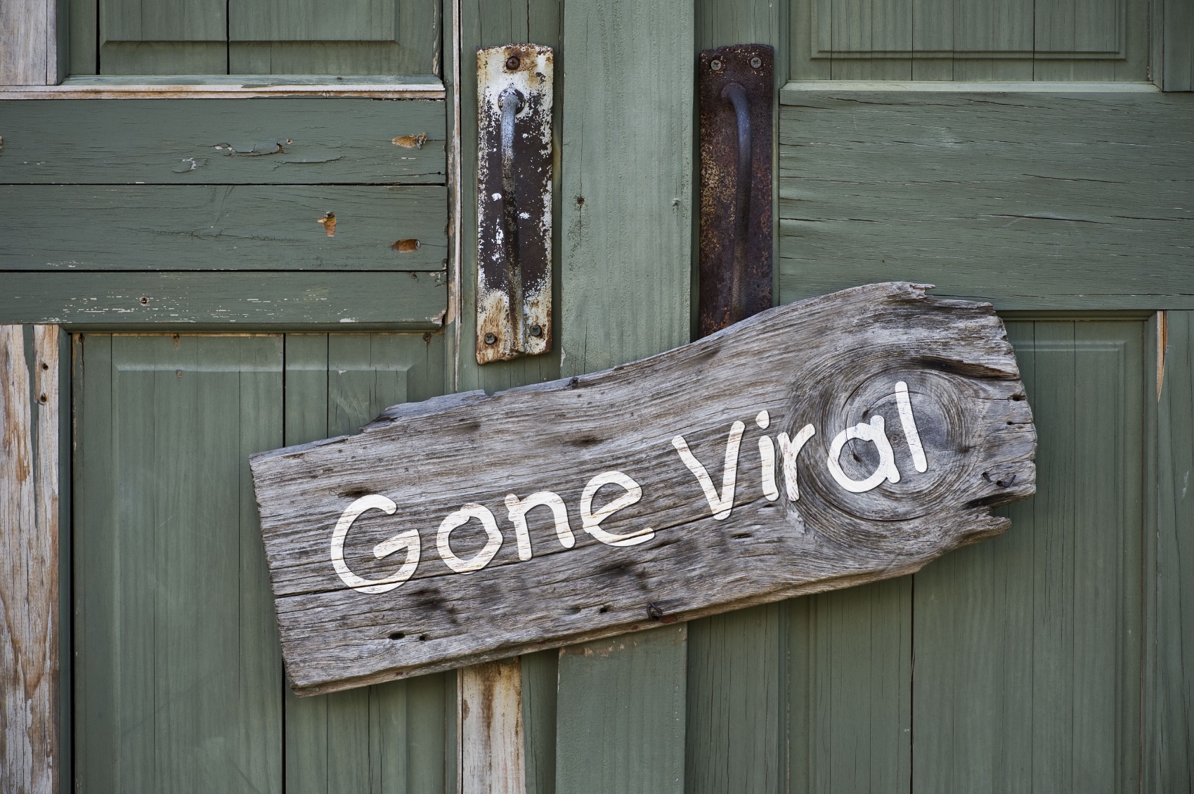How To Make Your Campaign Viral